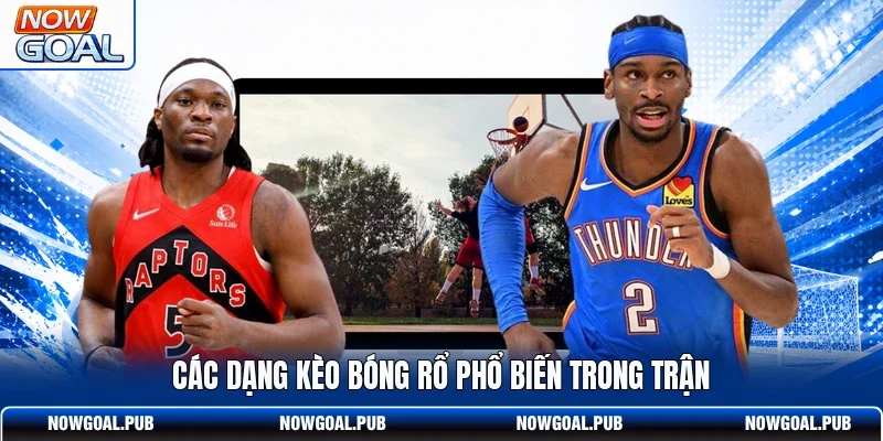 Các dạng kèo bóng rổ phổ biến trong trận