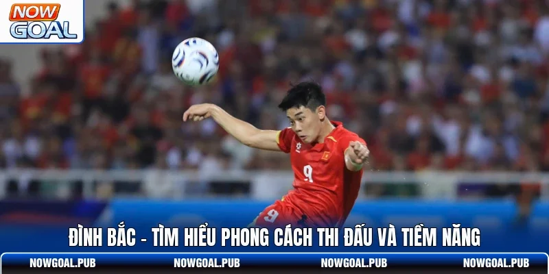 Đình Bắc - Tìm Hiểu Phong Cách Thi Đấu Và Tiềm Năng
