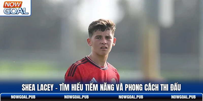 Shea Lacey - Tìm Hiểu Tiềm Năng Và Phong Cách Thi Đấu