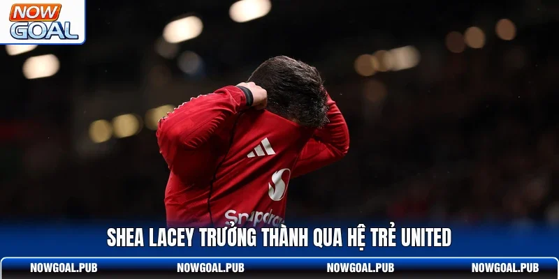 Shea Lacey trưởng thành qua hệ trẻ United