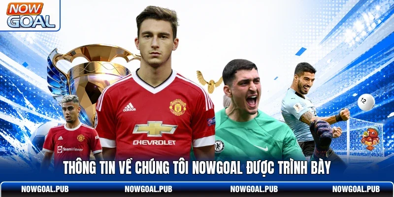 Thông tin về chúng tôi Nowgoal được trình bày